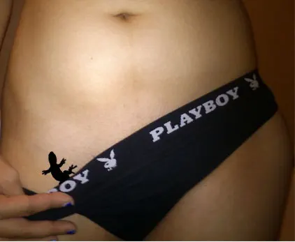 SexyLady3 image 1